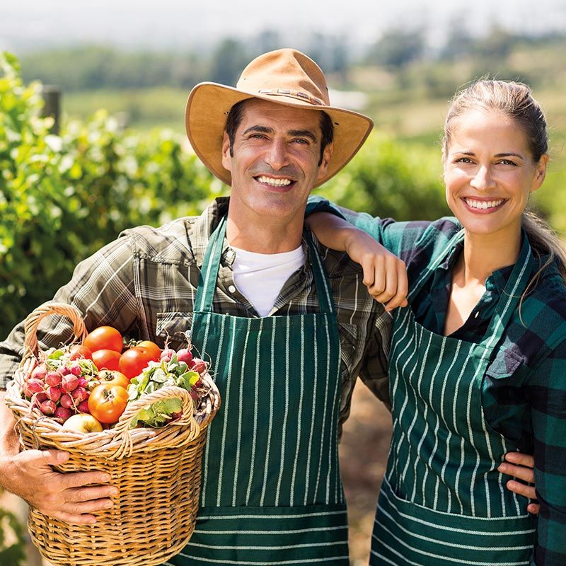 Menü Express Menü Express